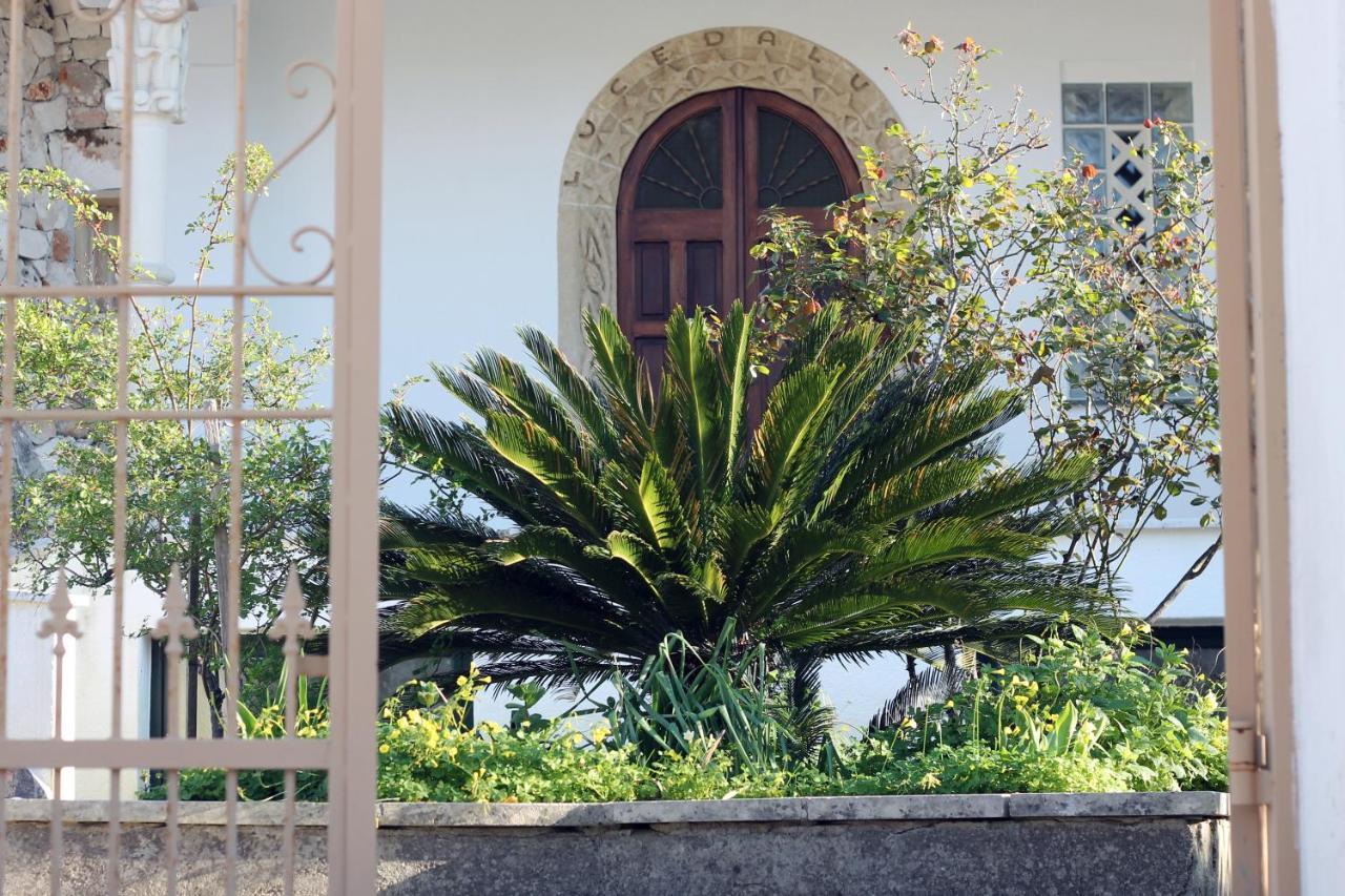 מלון ספקיה Casa Vacanza D'Arte Salentina מראה חיצוני תמונה